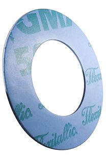 Sigmap PTFE gasket hero